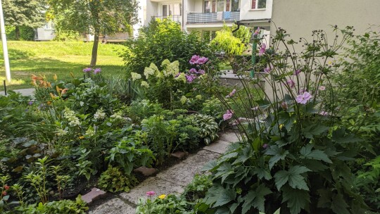 Najpiękniejsze ogrody i balkony wybrane