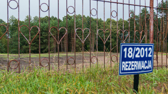 Kości na cmentarzu. Prokuratura bada sprawę naruszenia zabytku w Górznie