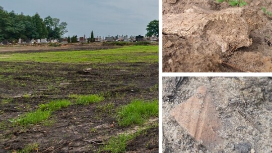 Kości na cmentarzu. Prokuratura bada sprawę naruszenia zabytku w Górznie