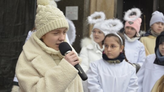 Orszak Trzech Króli w Garwolinie po raz siódmy [wideo]