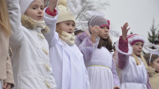 Orszak Trzech Króli w Garwolinie po raz siódmy [wideo]