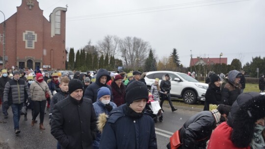 Orszak Trzech Króli w Garwolinie po raz siódmy [wideo]