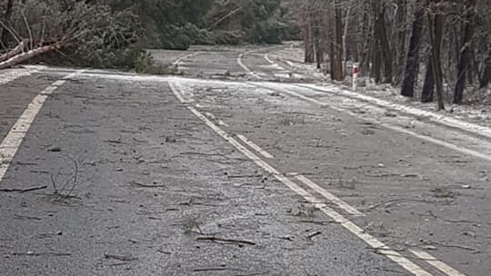 Bilans śnieżycy: 30 wyjazdów w 6 gminach