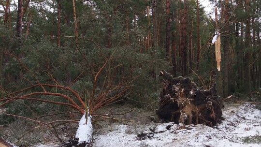 Bilans śnieżycy: 30 wyjazdów w 6 gminach