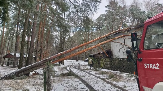 Bilans śnieżycy: 30 wyjazdów w 6 gminach