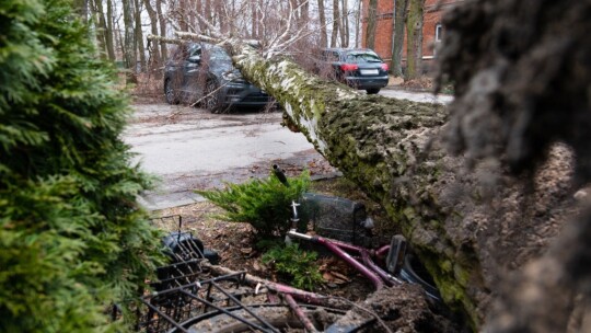 Nie przestaje wiać nad powiatem. Drzewa na drogach i samochodach