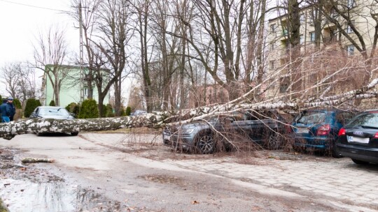 Nie przestaje wiać nad powiatem. Drzewa na drogach i samochodach