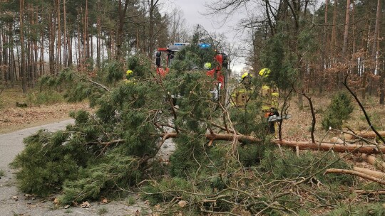 Nie przestaje wiać nad powiatem. Drzewa na drogach i samochodach