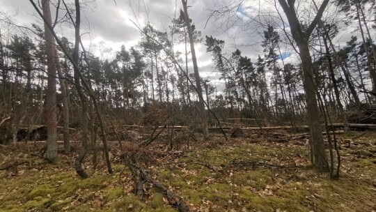 Nie przestaje wiać nad powiatem. Drzewa na drogach i samochodach