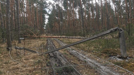 Nie przestaje wiać nad powiatem. Drzewa na drogach i samochodach