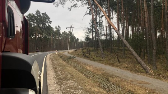 Nie przestaje wiać nad powiatem. Drzewa na drogach i samochodach