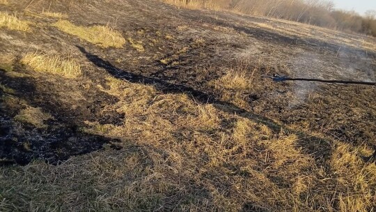 Pożar nieużytków na wyspie Wisły