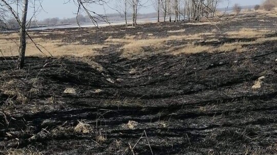 Pożar nieużytków na wyspie Wisły