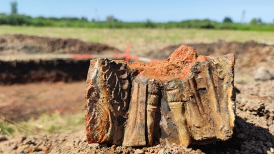 Co przyniosły tegoroczne badania archeologów w Żelechowie?