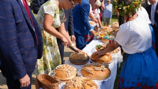 Powiatowe święto plonów za nami