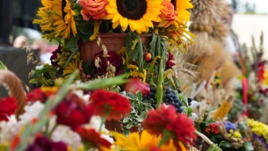 Gm. Miastków Kościelny: Dożynkowe tradycje podtrzymane