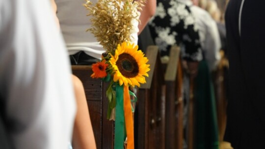 Gm. Miastków Kościelny: Dożynkowe tradycje podtrzymane