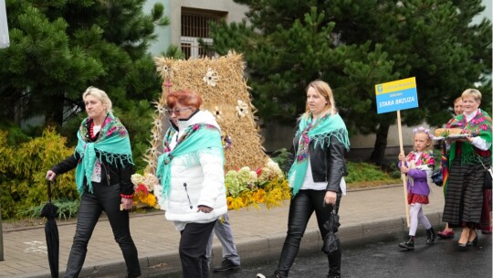 W deszczu dziękowali za plony