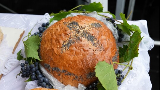 W deszczu dziękowali za plony