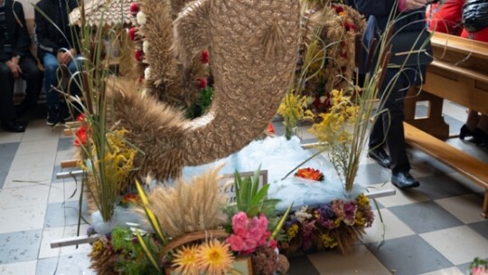 W deszczu dziękowali za plony