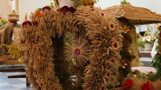 W deszczu dziękowali za plony