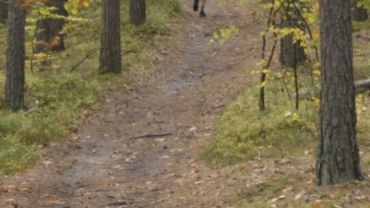 Sukces I Pilawskiego Półmaratonu Trialowego [wideo]