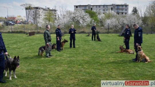 Ilza na emeryturze