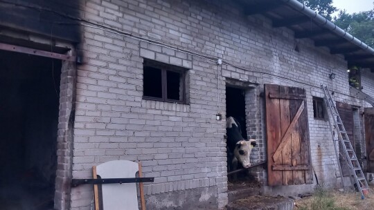 Pożar obory w Poliku