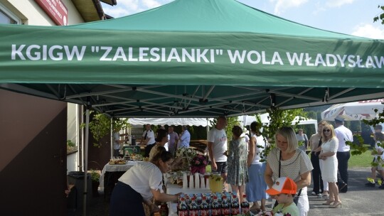 Rodzinny piknik w Woli Władysławowskiej