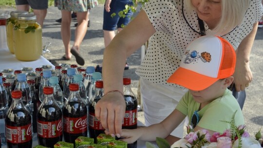 Rodzinny piknik w Woli Władysławowskiej