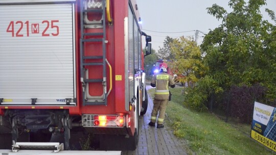 Miętne: Kolizja na zakręcie