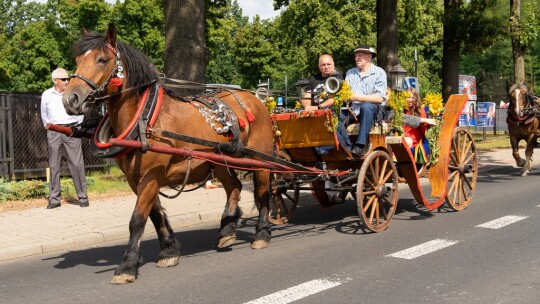 Gmina Borowie świętowała zakończenie żniw