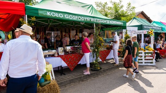 Gmina Borowie świętowała zakończenie żniw