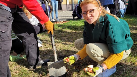 Marzą o bardziej zielonym i czystym Garwolinie