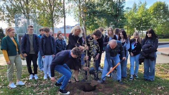 Marzą o bardziej zielonym i czystym Garwolinie