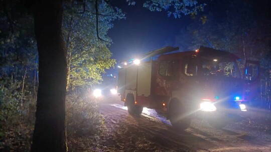 W Święto Strażaka gasili pożar lasu