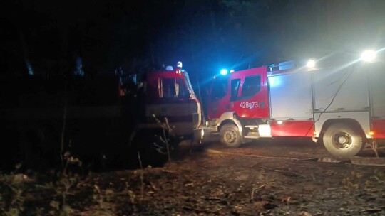 W Święto Strażaka gasili pożar lasu