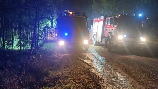 W Święto Strażaka gasili pożar lasu