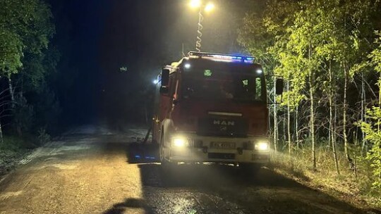 W Święto Strażaka gasili pożar lasu