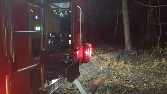 W Święto Strażaka gasili pożar lasu