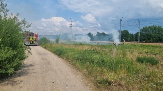 Pożar przy torach na odcinku 12 km [wideo]