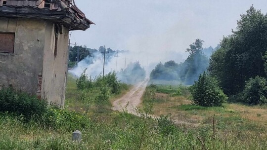 Pożar przy torach na odcinku 12 km [wideo]