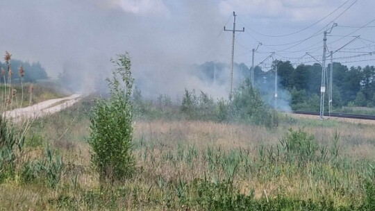 Pożar przy torach na odcinku 12 km [wideo]