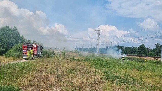 Pożar przy torach na odcinku 12 km [wideo]