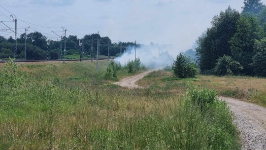 Pożar przy torach na odcinku 12 km [wideo]