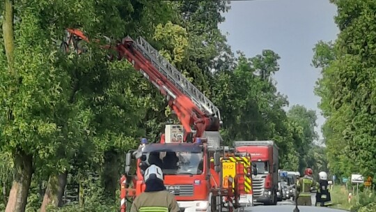 Dziesiątki powalonych drzew po popołudniowej burzy [aktualizacja]