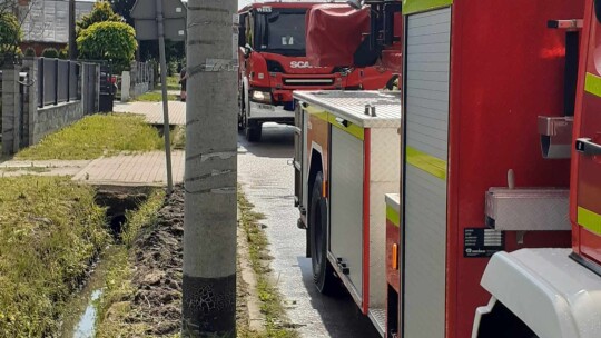 Dziesiątki powalonych drzew po popołudniowej burzy [aktualizacja]