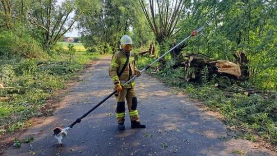 Dziesiątki powalonych drzew po popołudniowej burzy [aktualizacja]