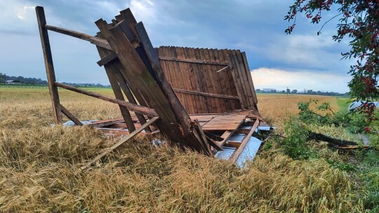 Dziesiątki powalonych drzew po popołudniowej burzy [aktualizacja]