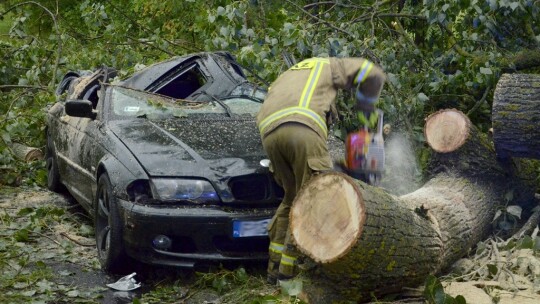 Drzewo na aucie. Dziesiątki interwencji strażaków po burzy